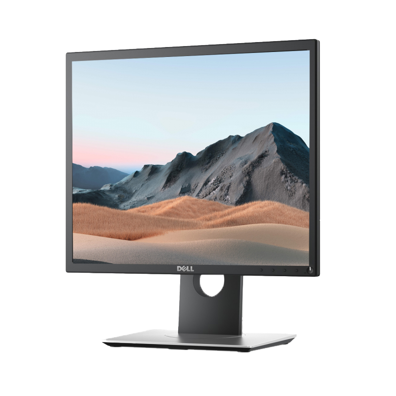 戴尔 19 系列显示器：P1917S