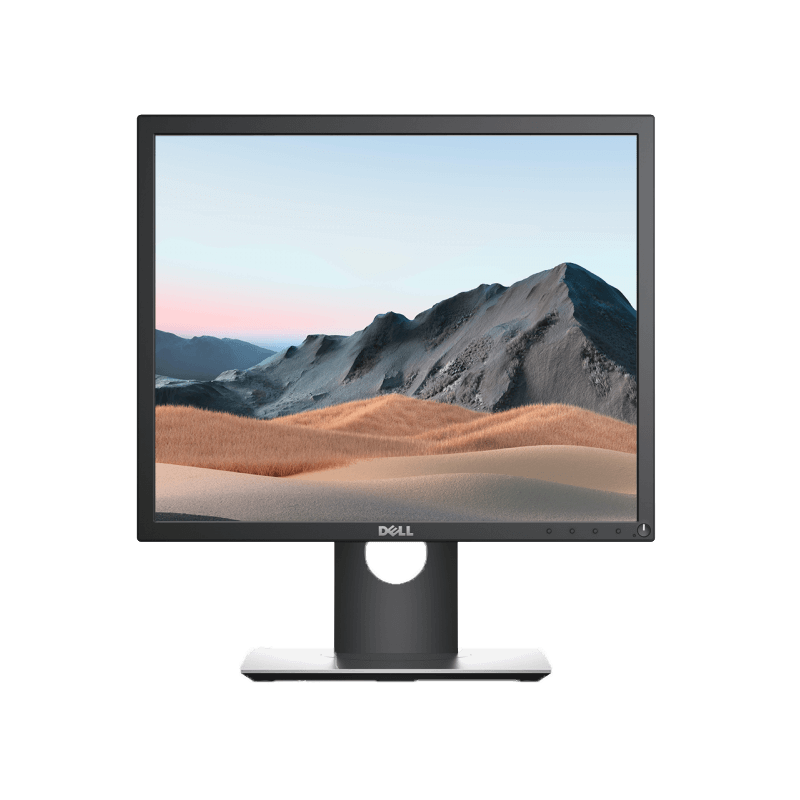 戴尔 19 系列显示器：P1917S