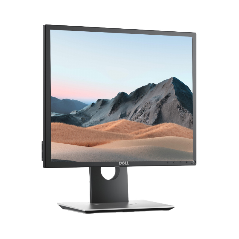 戴尔 19 系列显示器：P1917S